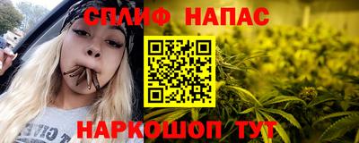 прущие крисы Новозыбков