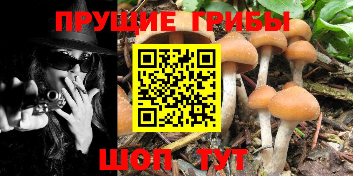 Псилоцибиновые грибы Magic Shrooms Углич